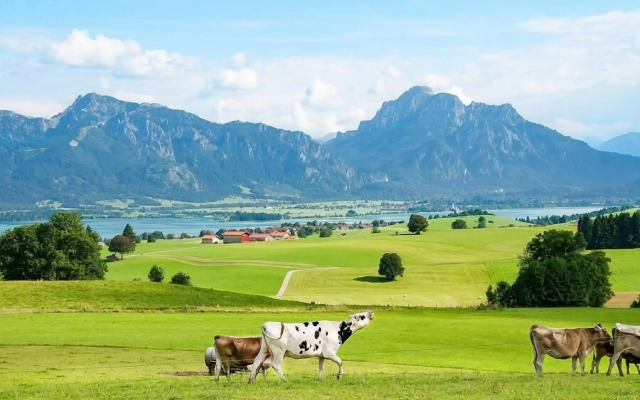 Hotel Am Turm Inh. Carlo Lombardini
