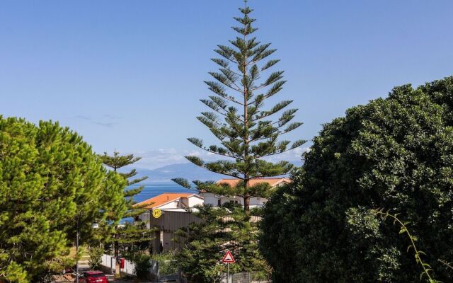 Luxurious Apartment in Briatico Calabria with Sea view