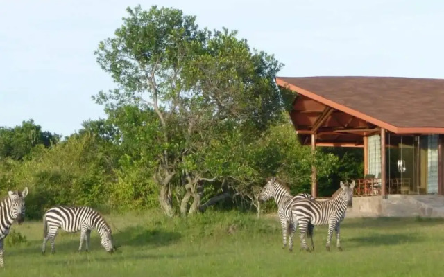 Simba & Oryx Nature Camp