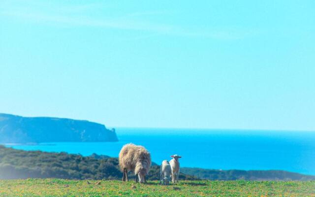 Agriturismo Il Ginepro
