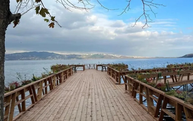 Hope Sapanca Tiny Houses