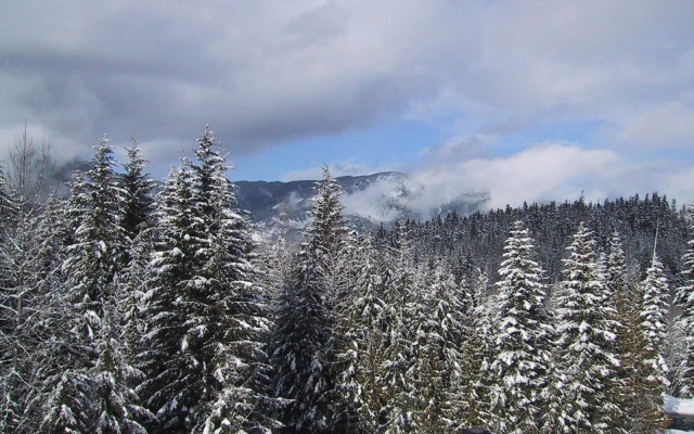 Whistler Alpine Chalet Retreat & Wellness