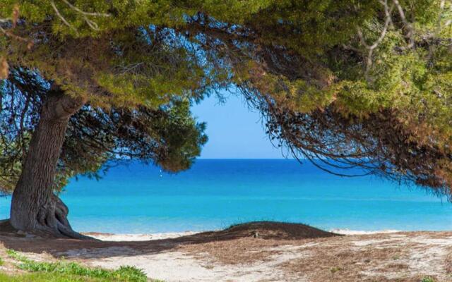 Apartment Countess of the Bay Garden E at Alcudia Beach