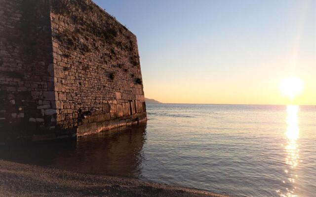 Nestor Sea Studio