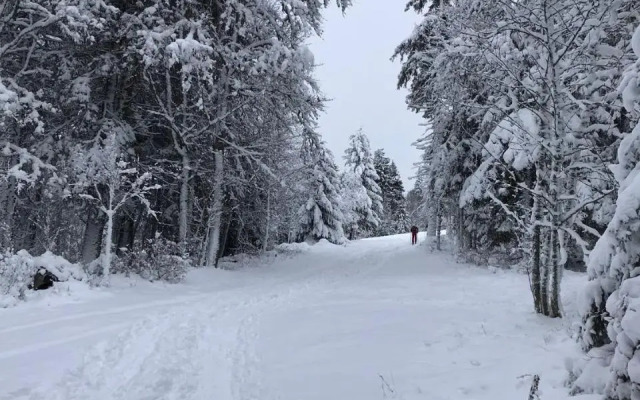 Gîte Les Plains Champs