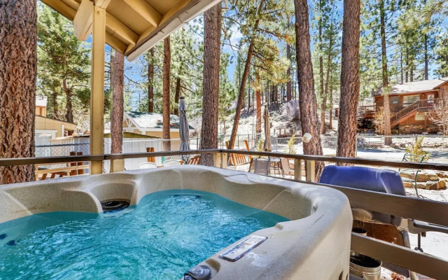 Reality Escape #2466