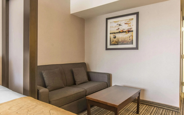 Comfort Suites Downtown