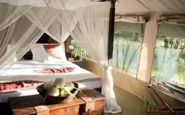Mara Bush Camp