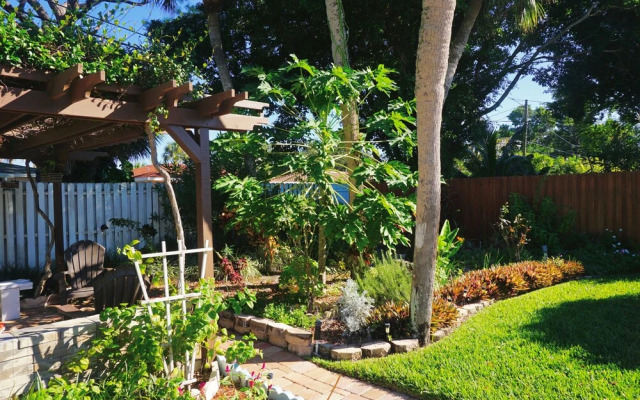 St Pete Beach, Backyard Sanctuary 154