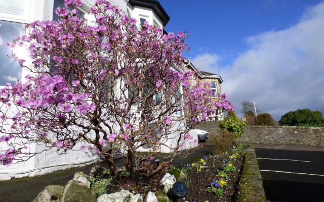 Douglas Park Guest House