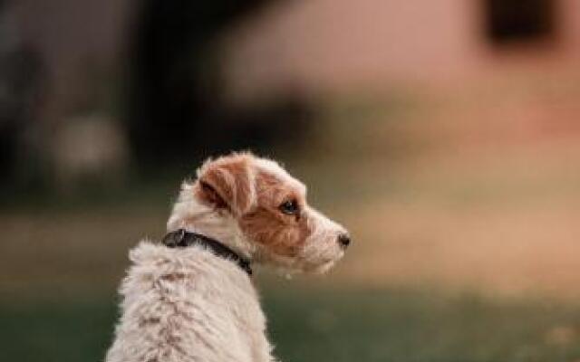 The Goodland Cottages