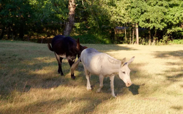 Ferme de Samson Appartement