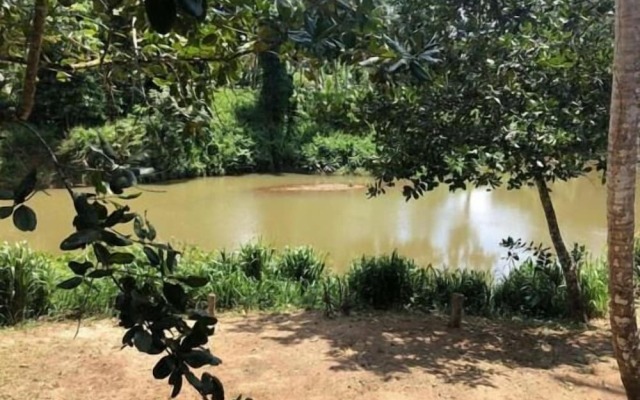 Sinharaja Rainforest View Villas