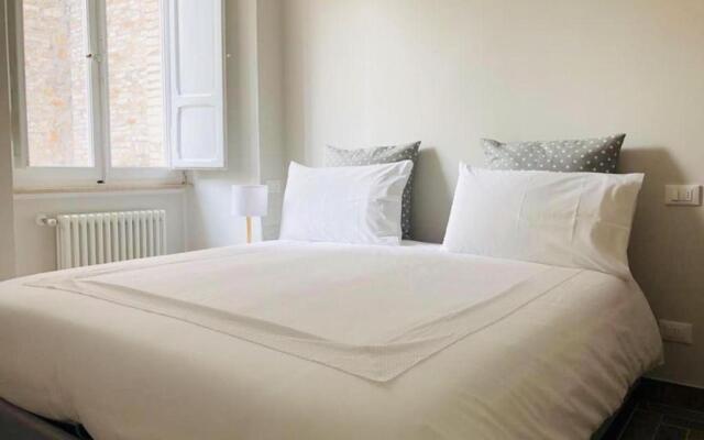 Sciri Suite #2