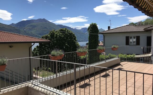 Lake Como - Orchidea