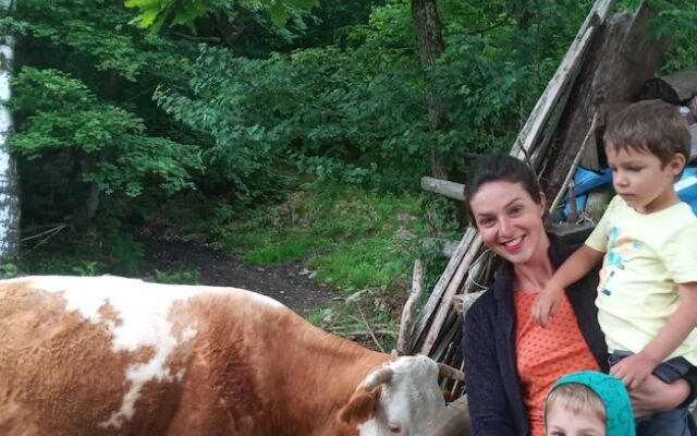 Room in Guest Room - Rural Holiday Transylvania