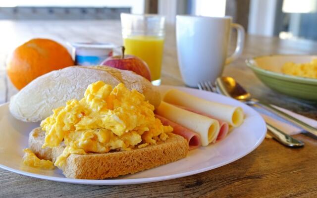 FreeSurfCamp & Hostel