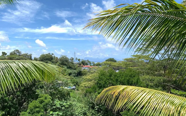 Mahina Apartment - Elegantly tropical