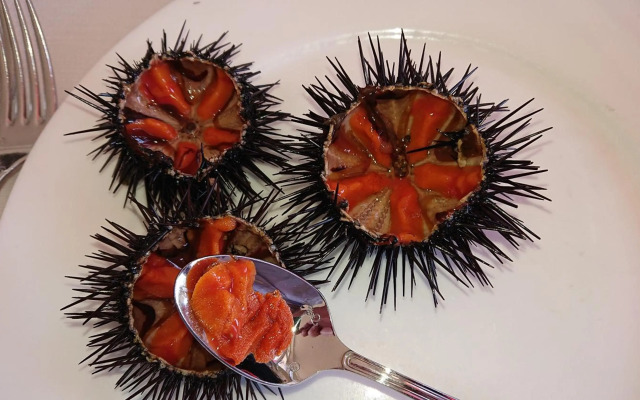 Realis Villa Gandoli Pool&BBQ - Adults only"16th"