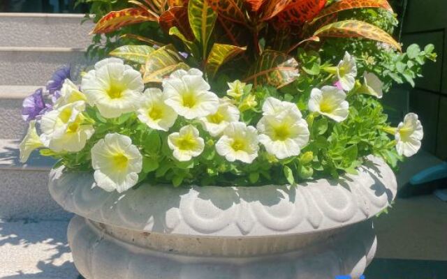 Sangu Maolu Homestay