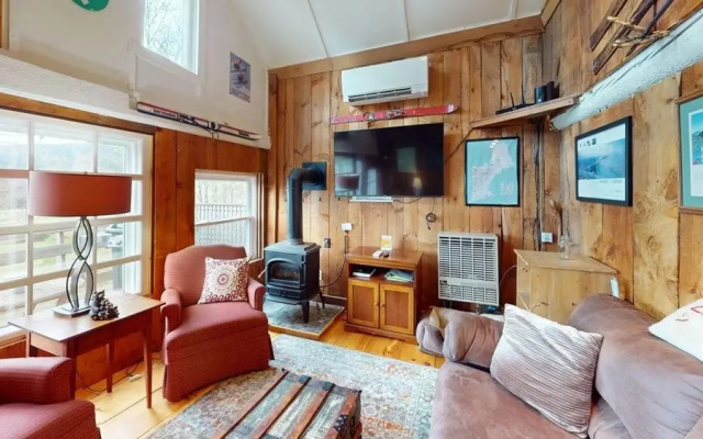 Pond View Cabin in Chittenden