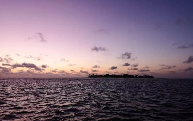 String Wave Maldives