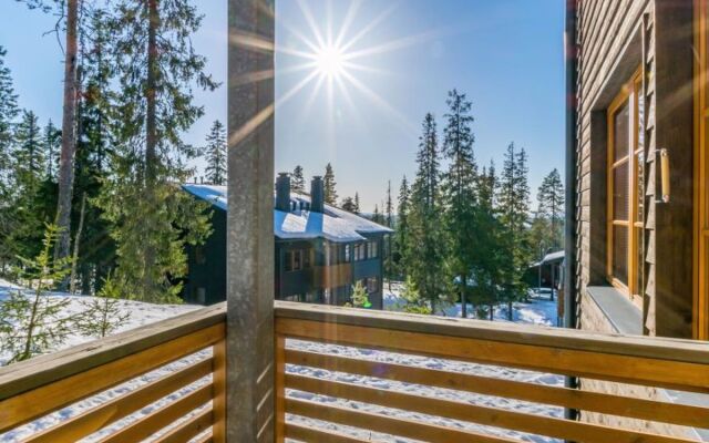 Karhunvartijan kota b1