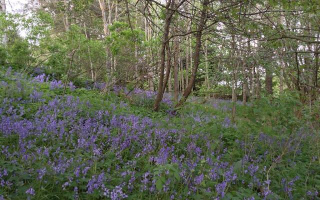 Dower House Newtonmore