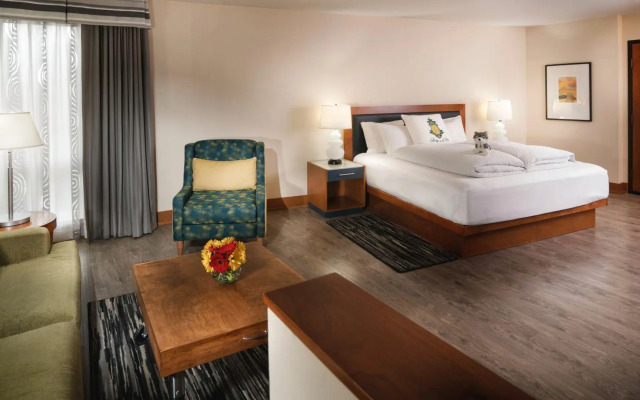 Staypineapple, Watertown Hotel, University District Seattle