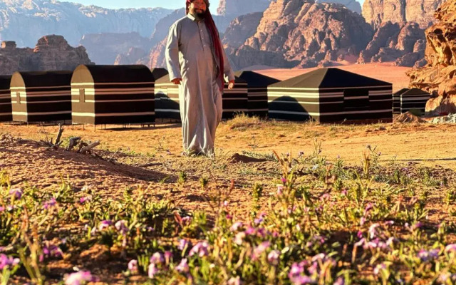 Wadi Rum Magic Nature Camp
