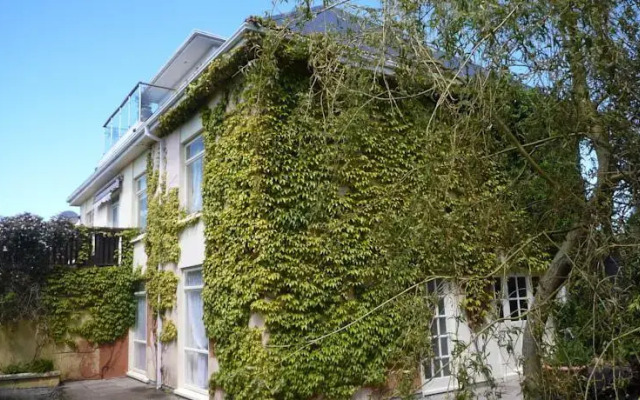 Ivy House