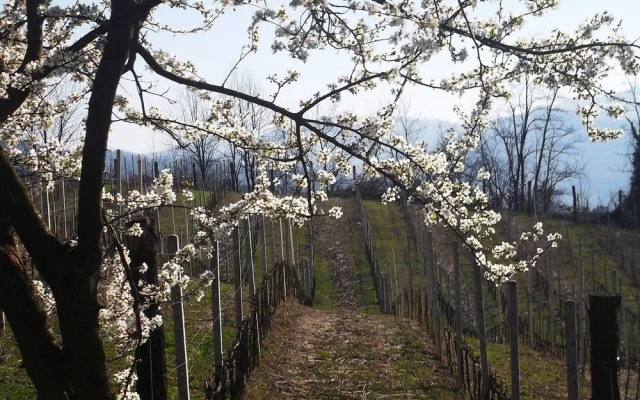Agriturismo Podere Luciano