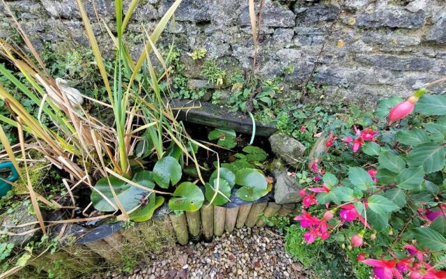 Cosy pet friendly cottage on our smallholding, friendly animals to meet, lovely countryside setting, small but comfy, sleeps up to 2 adults 1 child