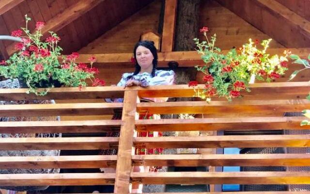 Complex Căsuțe Căsuța din Deal Moisei