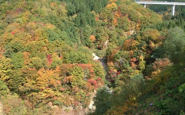 Zao International Hotel