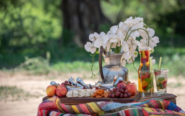 Kapama Southern Camp