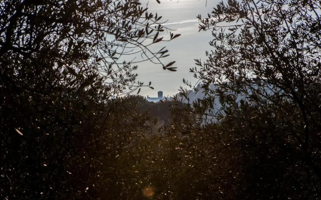 Casolare Santa Margherita