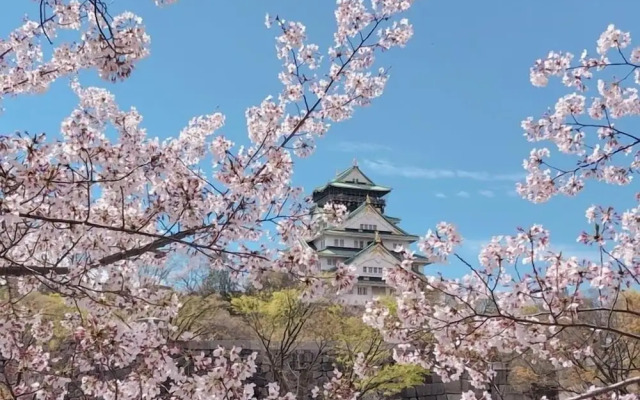 Ryokoheya Awajikan