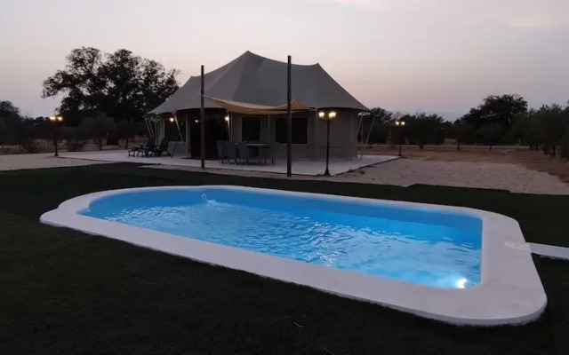 El Toril Glamping Experience