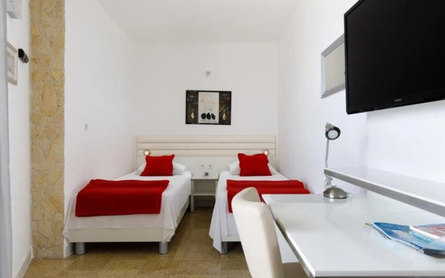 Seagull - Ark Beach Studio