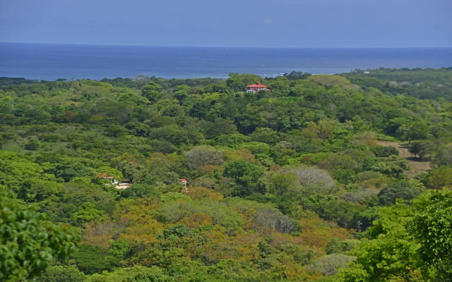 Playa Lagarto Eco Development