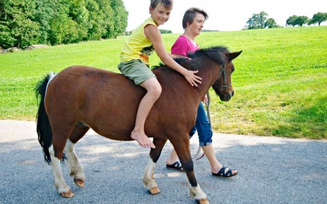 Baby-und Kinderbauernhof Salmanner