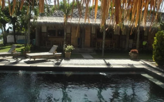 Coral Palms
