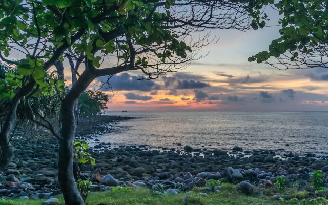 Driftwood Hostel and Bungalows