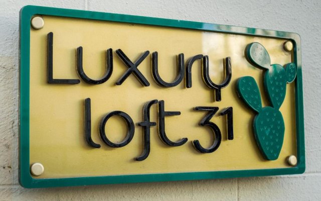 Luxury loft 31