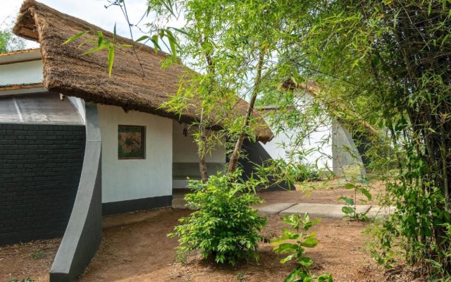 Red Earth Tadoba