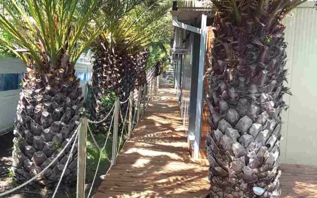 Thalassa Boutique Apartments