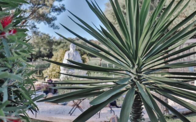 Hotel Rancho Los Lobos