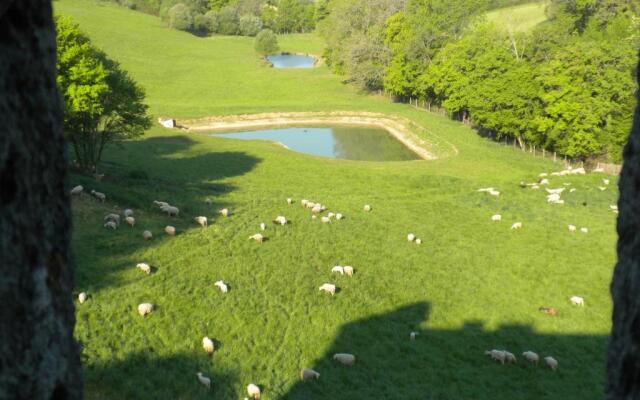 Château de Plèneselve