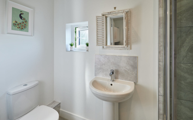 Host Stay Rochester Apartment